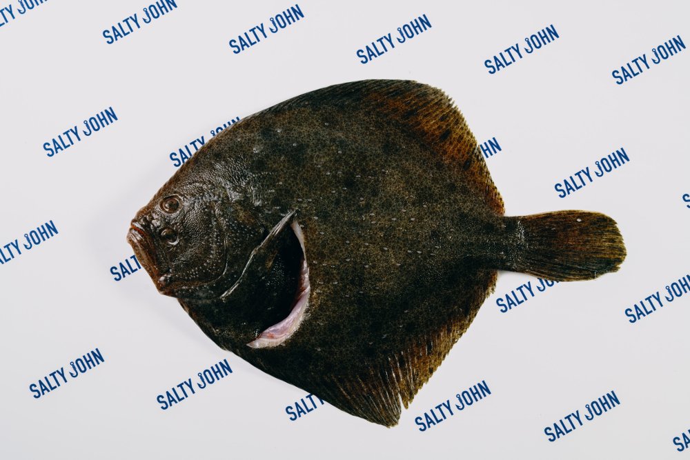 Tarbot - Salty John BV